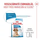Royal Canin Size Health Nutrition Medium starter Mother&Babydog száraz kutyaeledel 4kg