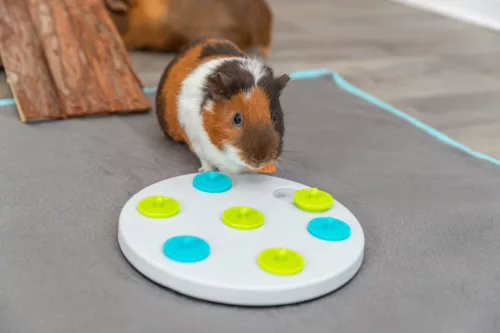 Trixie Snack Board stratégiai játék 20cm