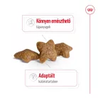 Royal Canin Size Health Nutrition Mini adult száraz kutyaeledel 800g