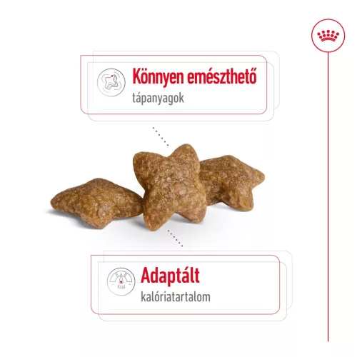 Royal Canin Size Health Nutrition Mini adult száraz kutyaeledel 800g