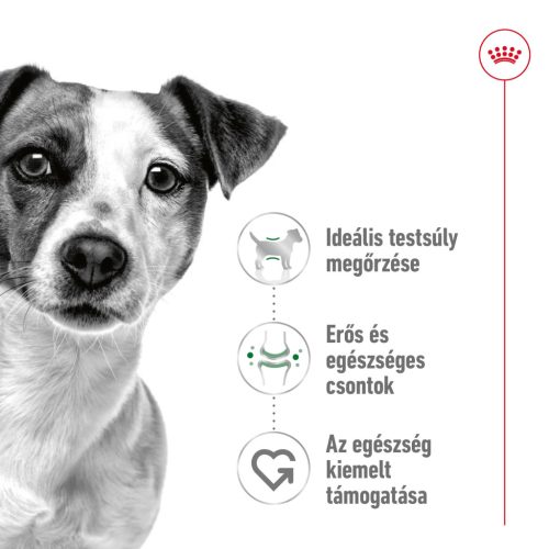 Royal Canin Size Health Nutrition Mini adult száraz kutyaeledel 4kg