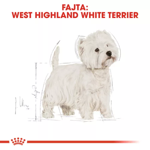 Royal Canin Breed Health Nutrition West highland white terrier adult száraz kutyaeledel 3kg
