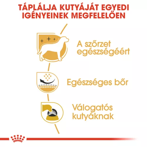 Royal Canin Breed Health Nutrition West highland white terrier adult száraz kutyaeledel 3kg