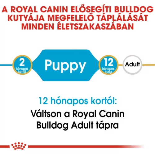 Royal Canin Breed Health Nutrition Francia Bulldog junior száraz kutyaeledel 3kg