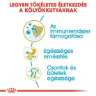 Royal Canin Breed Health Nutrition Francia Bulldog junior száraz kutyaeledel 3kg