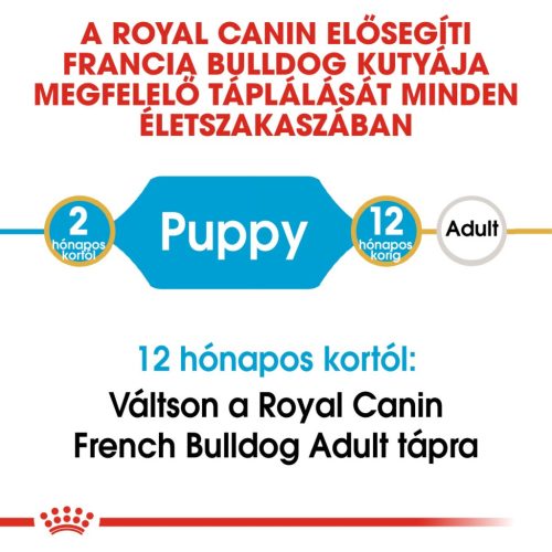 Royal Canin Breed Health Nutrition Francia Bulldog junior száraz kutyaeledel 3kg