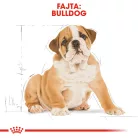 Royal Canin Breed Health Nutrition Francia Bulldog junior száraz kutyaeledel 3kg