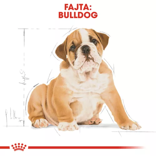 Royal Canin Breed Health Nutrition Francia Bulldog junior száraz kutyaeledel 3kg