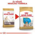 Royal Canin Breed Health Nutrition Francia Bulldog junior száraz kutyaeledel 3kg