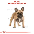 Royal Canin Breed Health Nutrition Francia Bulldog adult száraz kutyaeledel 3kg