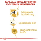 Royal Canin Breed Health Nutrition Francia Bulldog adult száraz kutyaeledel 3kg