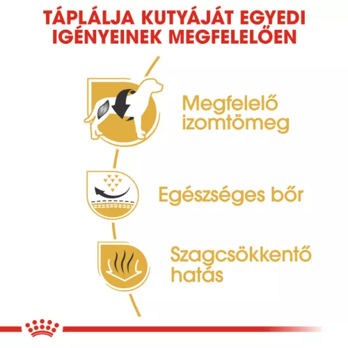 Royal Canin Breed Health Nutrition Francia Bulldog adult száraz kutyaeledel 3kg