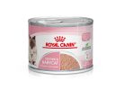 Royal Canin Feline Health Nutrition Babycat Instinctive macska konzerv 12x195g