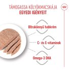 Royal Canin Feline Health Nutrition Babycat Instinctive macska konzerv 12x195g