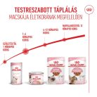 Royal Canin Feline Health Nutrition Babycat Instinctive macska konzerv 12x195g