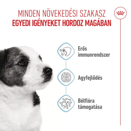 Royal Canin Size Health Nutrition Mini puppy száraz kutyaeledel 4kg