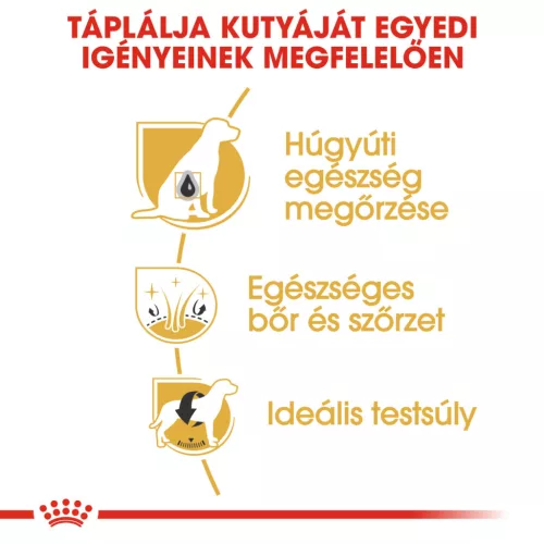Royal Canin Breed Health Nutrition Bichon Frisé adult száraz kutyaeledel 1,5kg