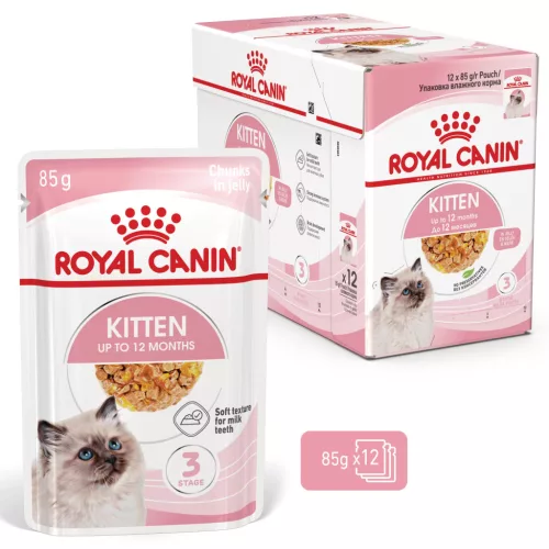 Royal Canin Feline Health Nutrition macska tasak Kitten jelly 12x85g