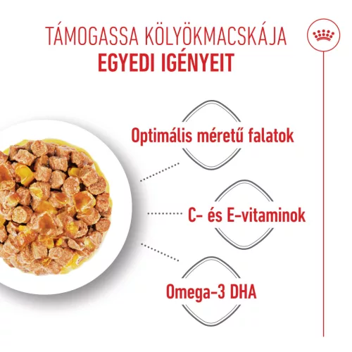 Royal Canin Feline Health Nutrition macska tasak Kitten jelly 12x85g