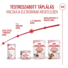 Royal Canin Feline Health Nutrition macska tasak Kitten jelly 12x85g