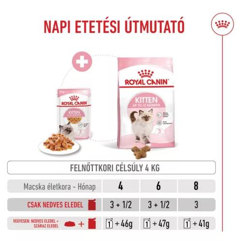 Royal Canin Feline Health Nutrition macska tasak Kitten jelly 12x85g