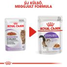 Royal Canin Feline Health Nutrition macska tasak adult Steril jelly 12x85g