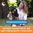 ThunderShirt kutyáknak nyugi mellény L