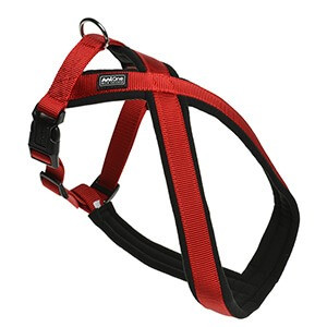 AniOne kutya X-hám Classic nejlon piros L/65cm