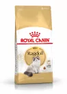 Royal Canin Feline Breed Nutrition Ragdoll adult száraz macskaeledel 2kg
