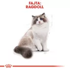 Royal Canin Feline Breed Nutrition Ragdoll adult száraz macskaeledel 2kg