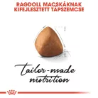 Royal Canin Feline Breed Nutrition Ragdoll adult száraz macskaeledel 2kg