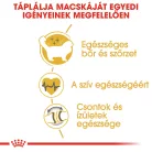 Royal Canin Feline Breed Nutrition Ragdoll adult száraz macskaeledel 2kg