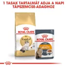 Royal Canin Feline Breed Nutrition Ragdoll adult száraz macskaeledel 2kg