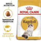 Royal Canin Feline Breed Nutrition Ragdoll adult száraz macskaeledel 2kg