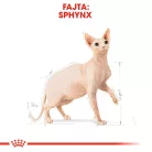 Royal Canin Feline Breed Nutrition Szfinx adult száraz macskaeledel 2kg