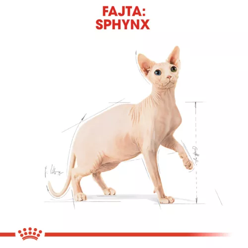 Royal Canin Feline Breed Nutrition Szfinx adult száraz macskaeledel 2kg