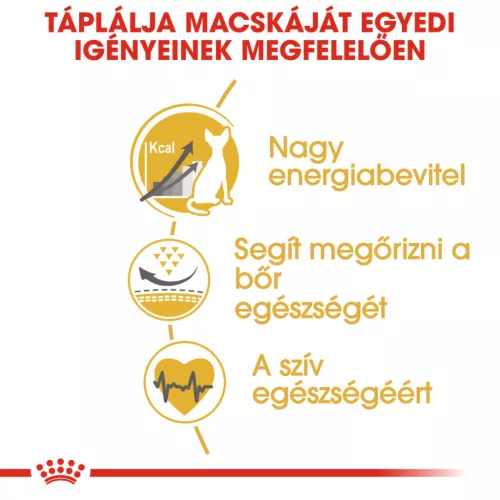 Royal Canin Feline Breed Nutrition Szfinx adult száraz macskaeledel 2kg