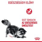 Royal Canin Feline Care Nutrition Digestive Care száraz macskaeledel 400g