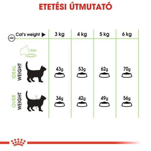 Royal Canin Feline Care Nutrition Digestive Care száraz macskaeledel 400g
