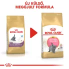 Royal Canin Feline Breed Nutrition Brit rövidszőrű kitten száraz macskaeledel 400g