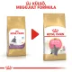 Royal Canin Feline Breed Nutrition Brit rövidszőrű kitten száraz macskaeledel 400g