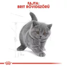 Royal Canin Feline Breed Nutrition Brit rövidszőrű kitten száraz macskaeledel 400g
