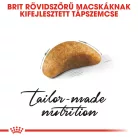 Royal Canin Feline Breed Nutrition Brit rövidszőrű kitten száraz macskaeledel 400g