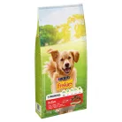 Friskies Active száraz kutyaeledel marha 10kg