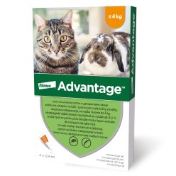   Advantage bolha elleni spot-on 4kg alatti macskáknak 4x0,4ml