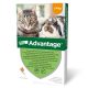 Advantage bolha elleni spot-on 4kg alatti macskáknak 4x0,4ml
