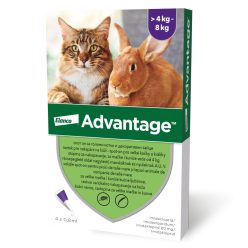   Advantage bolha elleni spot-on 4kg feletti macskáknak 4x0,8ml