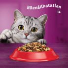 Whiskas száraz macskaeledel marha 14kg
