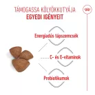 Royal Canin Size Health Nutrition Mini starter Mother&Babydog száraz kutyaeledel 1kg