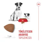 Royal Canin Size Health Nutrition Mini starter Mother&Babydog száraz kutyaeledel 1kg